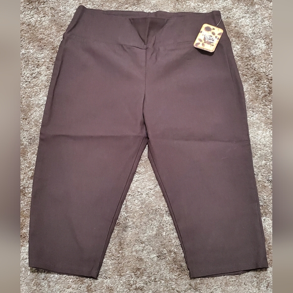 NWT Brown Capri Pants - Picture 1 of 7